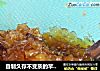 自制久存不变质的苹果酱的做法