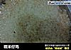 糯米仔鸡的做法