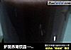 护发养肾饮品------黑豆黑米黑芝麻豆浆的做法