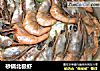 砂锅北极虾的做法