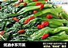 蚝油水东芥菜的做法