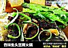 香辣鱼头豆腐火锅的做法
