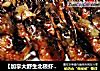 【加拿大野生北极虾】--- 香煎脆卜卜北极虾的做法