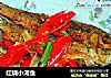 红烧小河鱼的做法