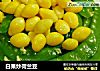 白果炒荷兰豆的做法