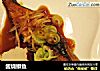 酱烧鰤鱼的做法