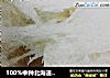 100%中种北海道吐司的做法