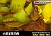 小肥羊炖羊肉的做法