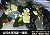 山药木耳鸡蛋—清新爽口小炒的做法