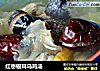 红枣银耳乌鸡汤的做法