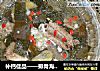 补钙佳品——排骨海带汤的做法