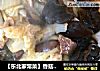 【东北家常菜】香菇木耳炒白菜的做法
