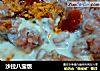 沙拉八宝饭的做法