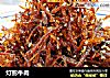 灯影牛肉的做法