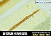 面包机版米海绵蛋糕的做法