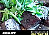 羊血豆腐煲的做法