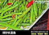 辣炒长豆角的做法