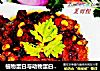 植物蛋白与动物蛋白的完美结合——黄豆焖红烧肉的做法