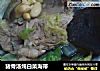 猪骨汤炖白菜海带的做法