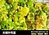 尖椒炒鸡蛋的做法