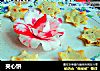 夹心饼的做法