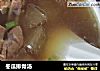 冬瓜排骨汤的做法