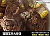 莲藕玉米大骨汤的做法