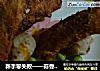 蒜香排骨的做法