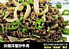 尖椒洋葱炒牛肉的做法
