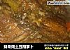 排骨炖土豆胡萝卜的做法
