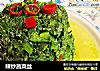 辣炒蔬菜丝的做法