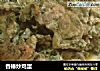 香椿炒鸡蛋的做法
