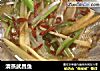 清蒸武昌鱼的做法