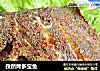 孜然烤多宝鱼的做法