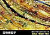 蒜香烤茄子的做法