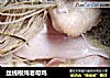 丝线根炖老母鸡的做法