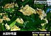 大蒜炒鸡蛋的做法