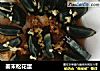 姜末松花蛋的做法