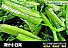 清炒小白菜的做法