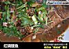 红烧鲤鱼的做法