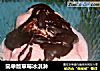 简单版草莓冰淇淋的做法