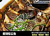 酱烧包公鱼的做法