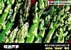 响油芦笋的做法