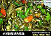 小米辣爆炒火焙鱼的做法