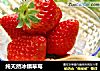 纯天然冰镇草莓的做法
