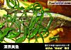 清蒸黄鱼的做法