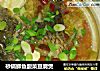 砂锅鲫鱼酸菜豆腐煲的做法