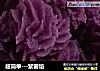 超简单---紫薯馅的做法