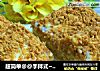 超简单@@手拌式~~鸡肉松蛋糕的做法