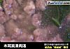 木耳菜滑肉汤的做法
